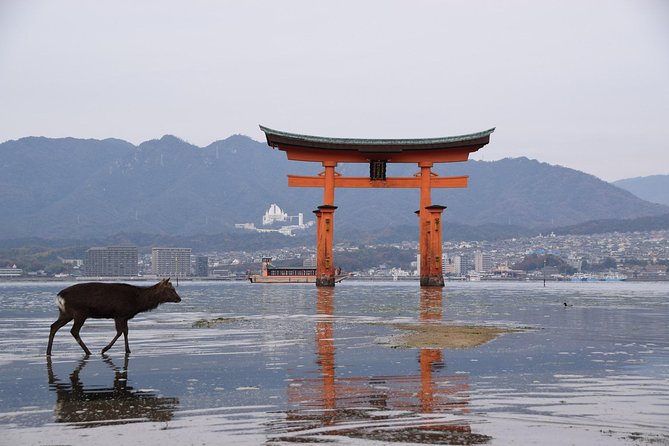 Hiroshima Custom Private Walking Tour With Licensed Guide (4/7h) - Inclusions