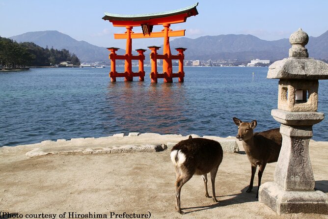 Hiroshima Departure - 1 Day Hiroshima & Miyajima Tour - Transportation Costs and Admission Fees