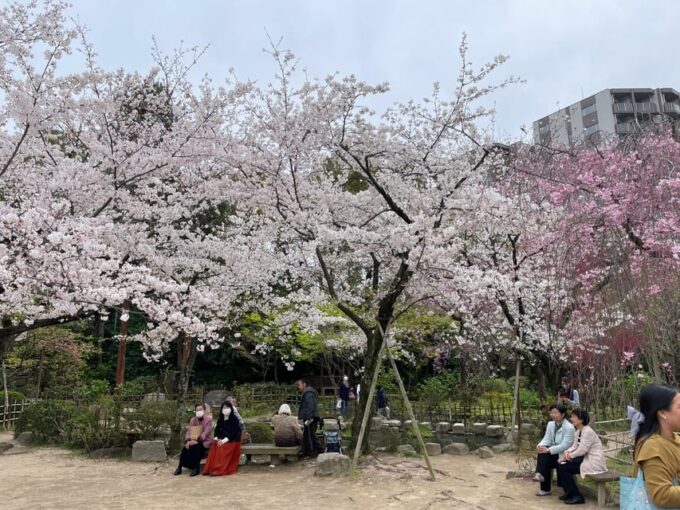 Hiroshima: Discover Hiroshima Private Gem Tour W/Local 4h - Pickup and Drop-off Locations