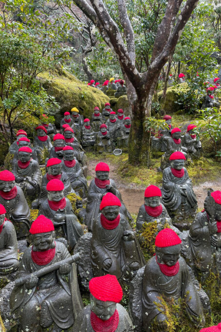 Hiroshima: Explore Miyajima Private Gem Tour W/Local 5hours - Transportation and Pickup Service