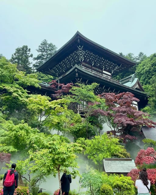 Hiroshima: Explore Miyajima Private Gem Tour W/Local 5hours - Return Journey and Drop-off