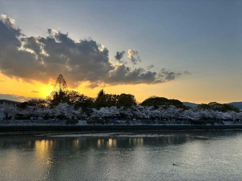 Hiroshima: History and Evening Walk - Who Should Consider This Tour?