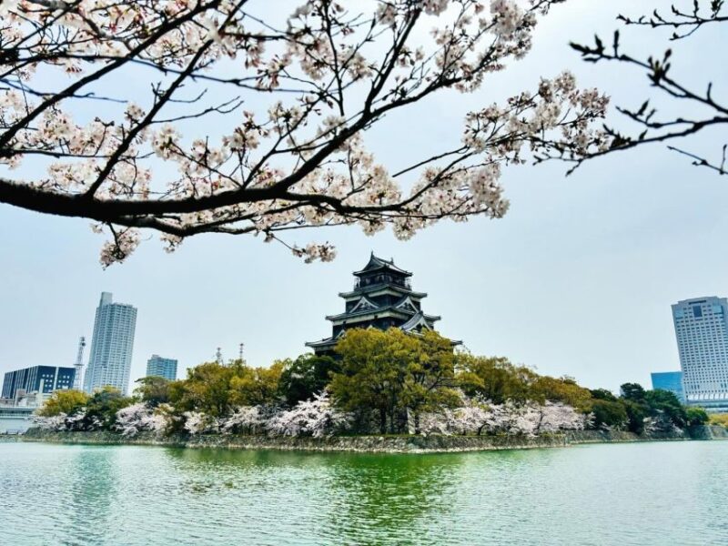 Hiroshima: History & Highlights Private Walking Tour - Exploring the Peace Memorial Museum