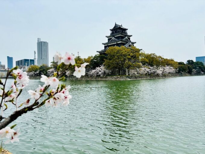 Hiroshima: History & Highlights Private Walking Tour - Accessibility and Language Options