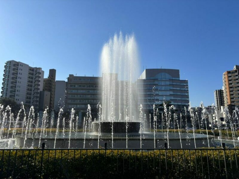 Hiroshima: History of Hiroshima Group Walking Tour - Final Considerations