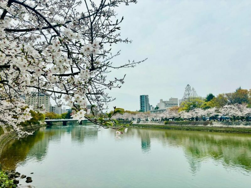 Hiroshima: History of Hiroshima Group Walking Tour - Who Will Love This Tour?