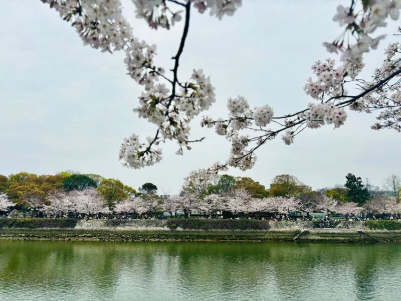 Hiroshima: History of Hiroshima Private Walking Tour - Key Points