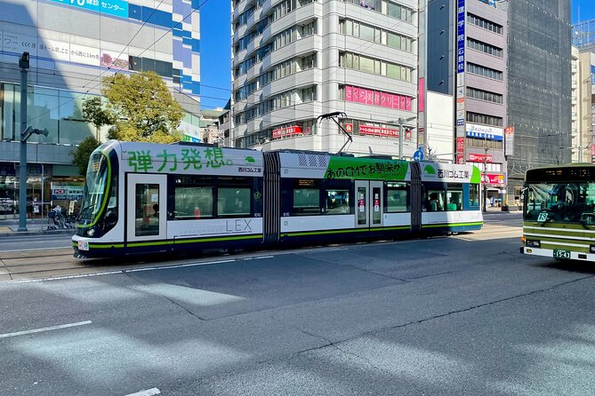 Hiroshima Local Life Walking Tour - Accessibility Information