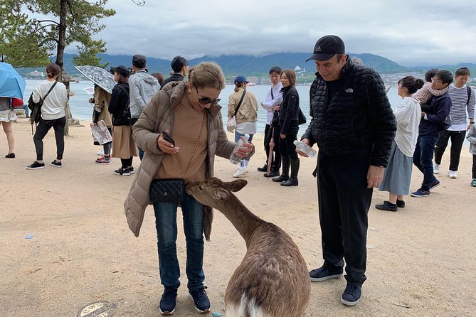 Hiroshima / Miyajima Full-Day Private Tour With Government Licensed Guide - Public Transport and Customization