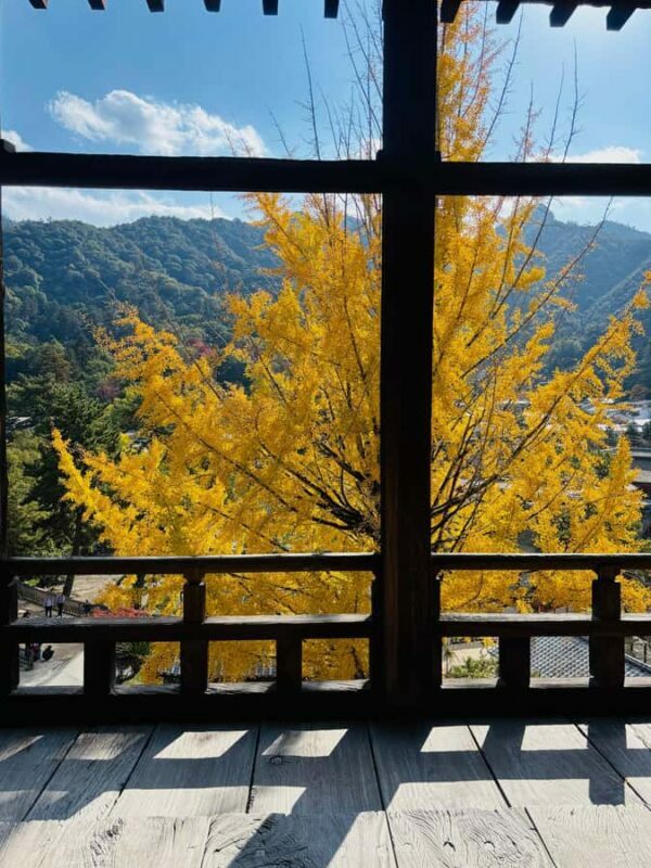 Hiroshima: Miyajima Private Tour with Ferry Ride - Frequently Asked Questions