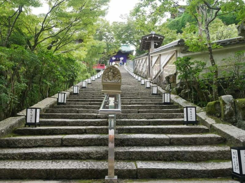 Hiroshima: Miyajima Private Tour with Ferry Ride - Final Thoughts