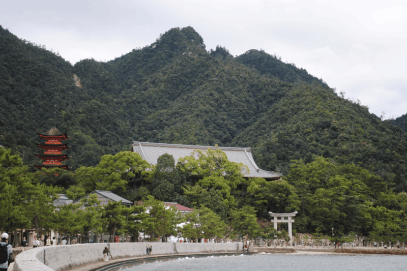 Hiroshima & Miyajima Tour With English/Spanish Speaker Guide - Inclusions and Costs