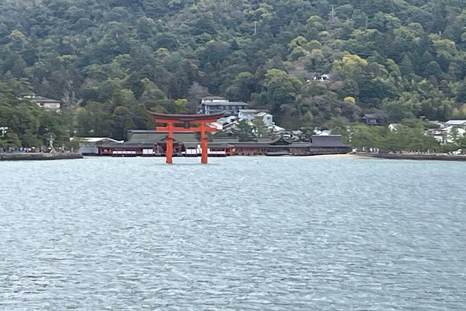 Hiroshima Private Guided Day Tour From Osaka - Tour Structure and Exclusivity