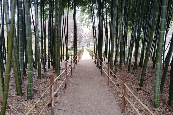 Hiroshima Shukkei-En Garden With Local Guide 90MIN - Health and Accessibility