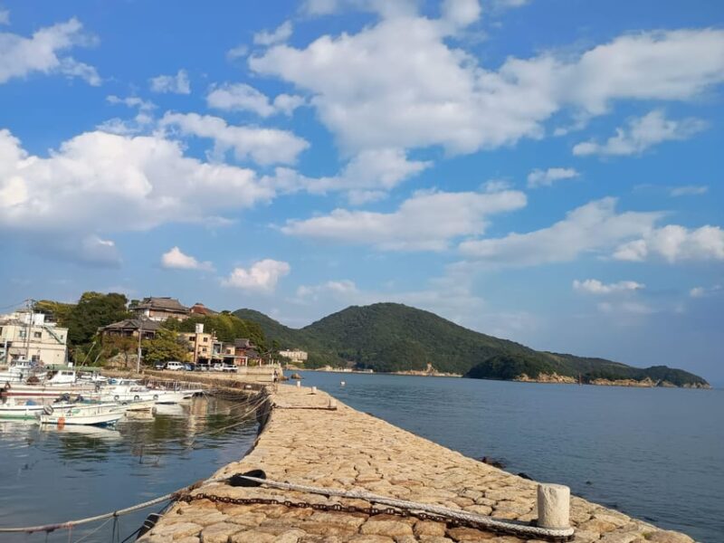 Hiroshima: Tomonoura Nostalgic Port Town Private Tour - Exploring Edo Period Port Facilities