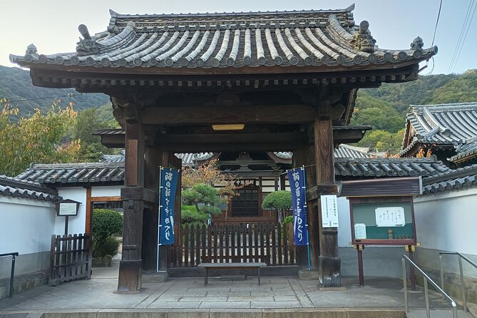 Hiroshima: Tomonoura Nostalgic Port Town Private Tour With Local - Accessibility and Participation
