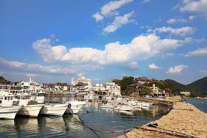 Hiroshima: Tomonoura Nostalgic Port Town Private Tour With Local - Lowest Price Guarantee
