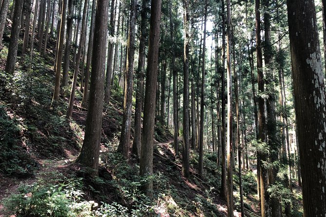 Historic and Natural Guided Hike in Yoshino - Inclusions and Exclusions