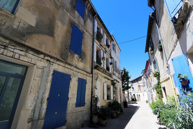 Historic Arles to the Wild & Windswept Beaches of the Camargue Private Tour - Discovering the Charming Town of Arles