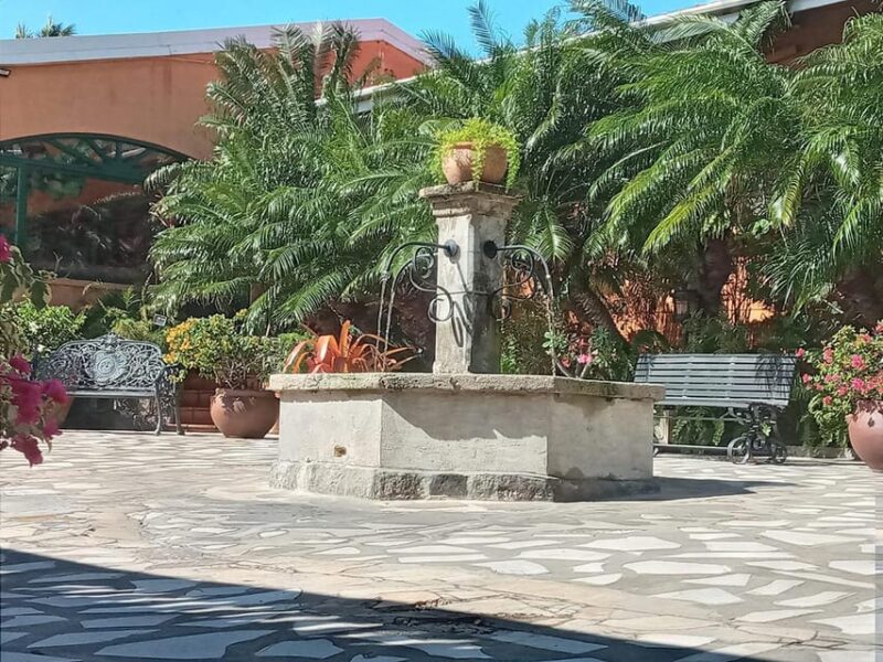 Historic Basseterre and the Beach - Key Points