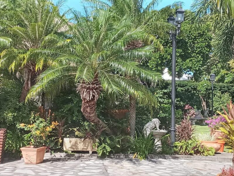 Historic Basseterre and the Beach - Booking Information
