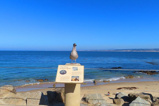 Historic Cannery Row: A Self-Guided Audio Tour of John Steinbecks Monterey - Exploring the Audio Tour