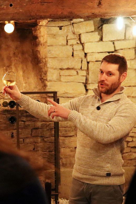 Historic Center of Dijon : Discovery Tasting Wine Burgundy - Venue and Atmosphere