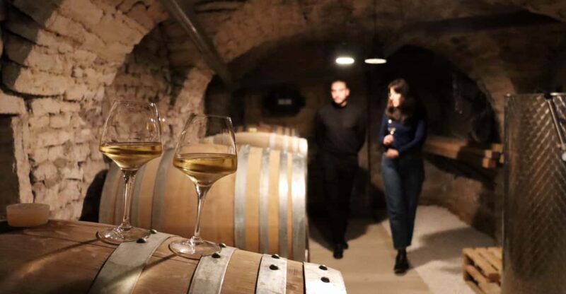Historic Center of Dijon : Discovery Tasting Wine Burgundy - Booking and Cancellation Policy