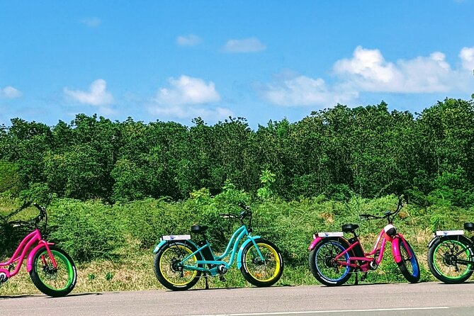 Historic City, Fort and Beach E-Bike Tour - Booking and Pricing
