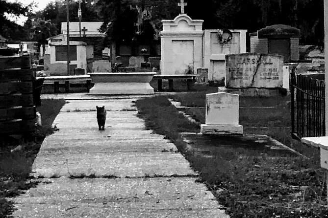 Historic Ghost Cemetery Walking Pub Crawl Of Bay St. Louis - Mystic Ghost Boat Rides Experience