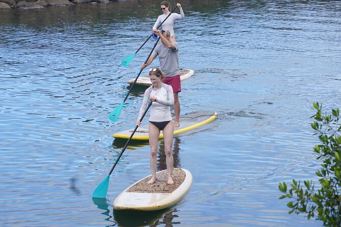 Historic Haleiwa Rainbow Bridge Stand Up Paddle (Anahulu River) - Key Points