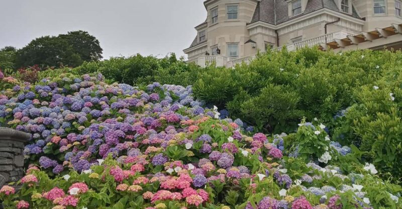 Historic Highlights of Newport,Ri With With the Gilded Age - Mansion Tour Options and Admission Tickets