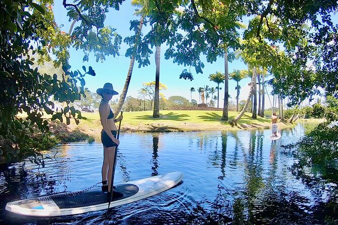 Historic Hilo Bay & Coconut Island SUP Adventure - Health and Safety Requirements