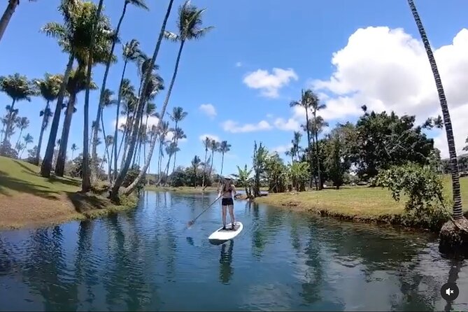 Historic Hilo Bay & Coconut Island SUP Adventure - Sights Along the Way