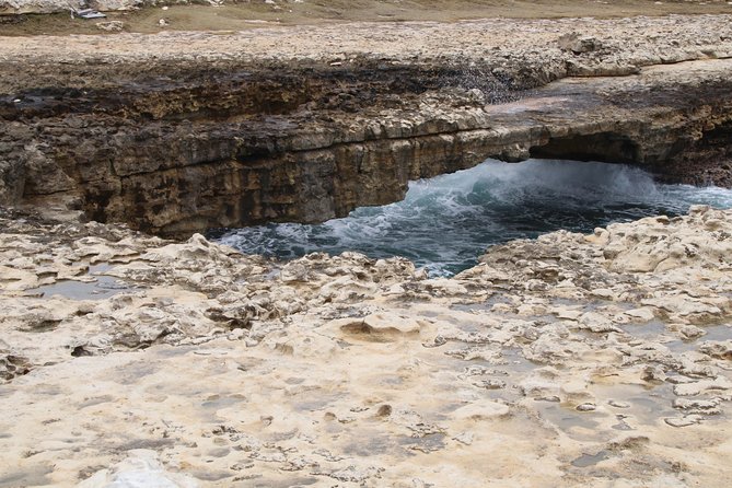 Historic Island Tour(Historic Barbuda Tour Also Available)) - Guest Feedback