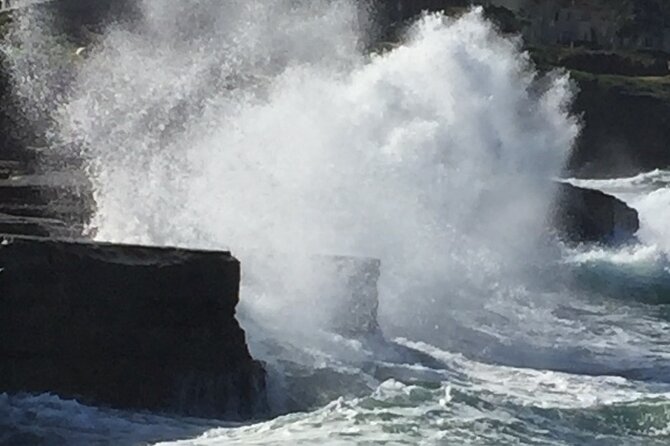 Historic La Jolla Walking Tour - Cancellation Policy and Pricing