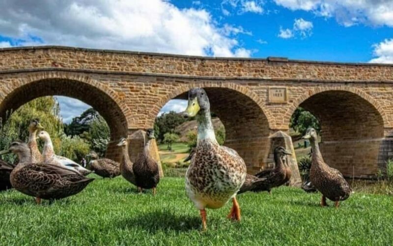Historic Richmond Village Half-Day Coach Tour - Practical Details: What You Need to Know