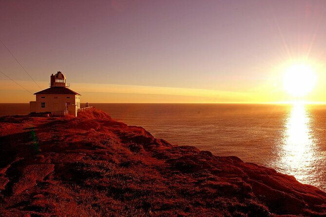 Historic St. John's Newfoundland and Cape Spear Tour - Key Points