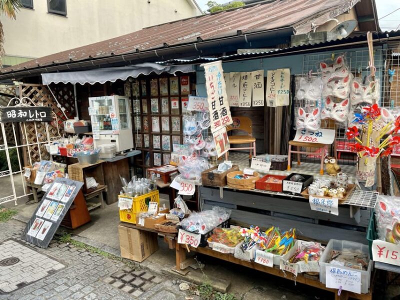 Historic Town of Kawagoe – Small Town of Edo 3h Walking Tour - Concluding the Tour