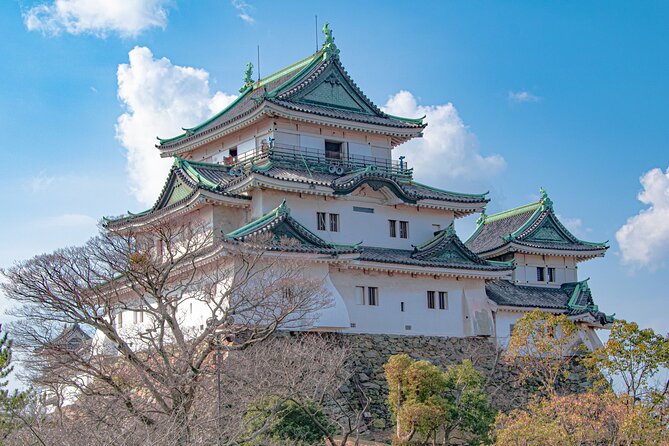Historic Wakayama City Walking Tour - Key Points