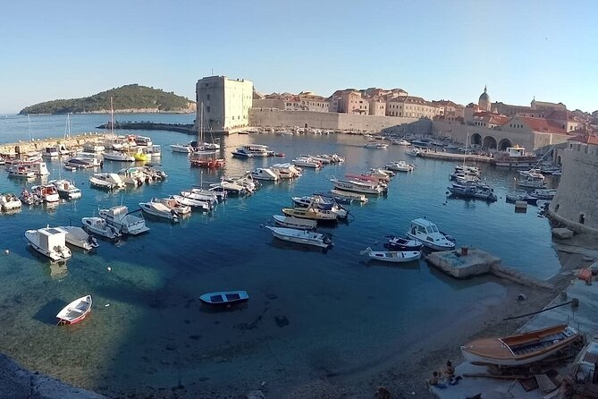 Historic Walk With Game of Thrones Details in Dubrovnik - Knowledgeable and Enthusiastic Guides