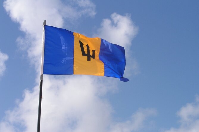 Historic Walking Tour of Bridgetown Barbados - Participant Requirements