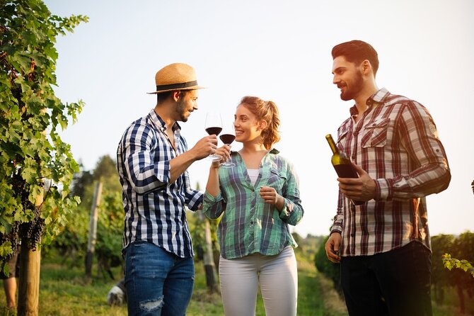 Historic Winery Visit With Food and Wine Tasting in Marsala - Customer Reviews and Feedback
