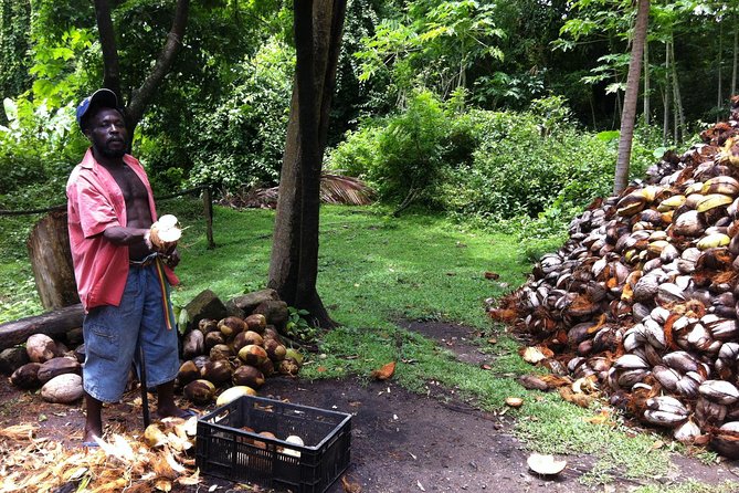 Historical 18TH Century Estate Tour With Coconut Tasting - Historical Insights