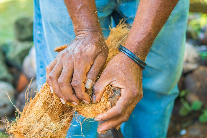 Historical 18TH Century Estate Tour With Coconut Tasting - Cocoa and Coffee Tasting