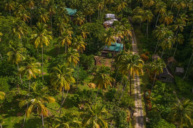 Historical 18TH Century Estate Tour With Coconut Tasting - Included Services