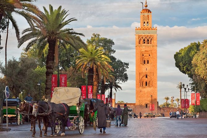 Historical and Cultural Private Tour of Marrakech - Pickup and Confirmation