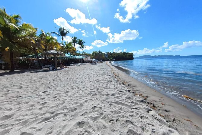 Historical and Panoramic Tour Along Caribbean Coast and in Tropical Forest - About Your Stay