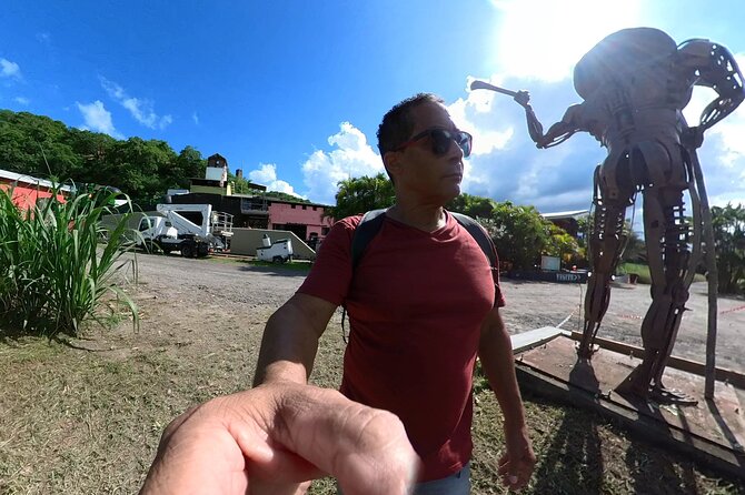 Historical and Panoramic Tour Along Caribbean Coast and in Tropical Forest - Tour Highlights