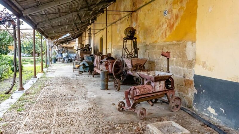 Historical Baglio Florio Adamo Tour With Wine Tasting - Customer Feedback and Reviews